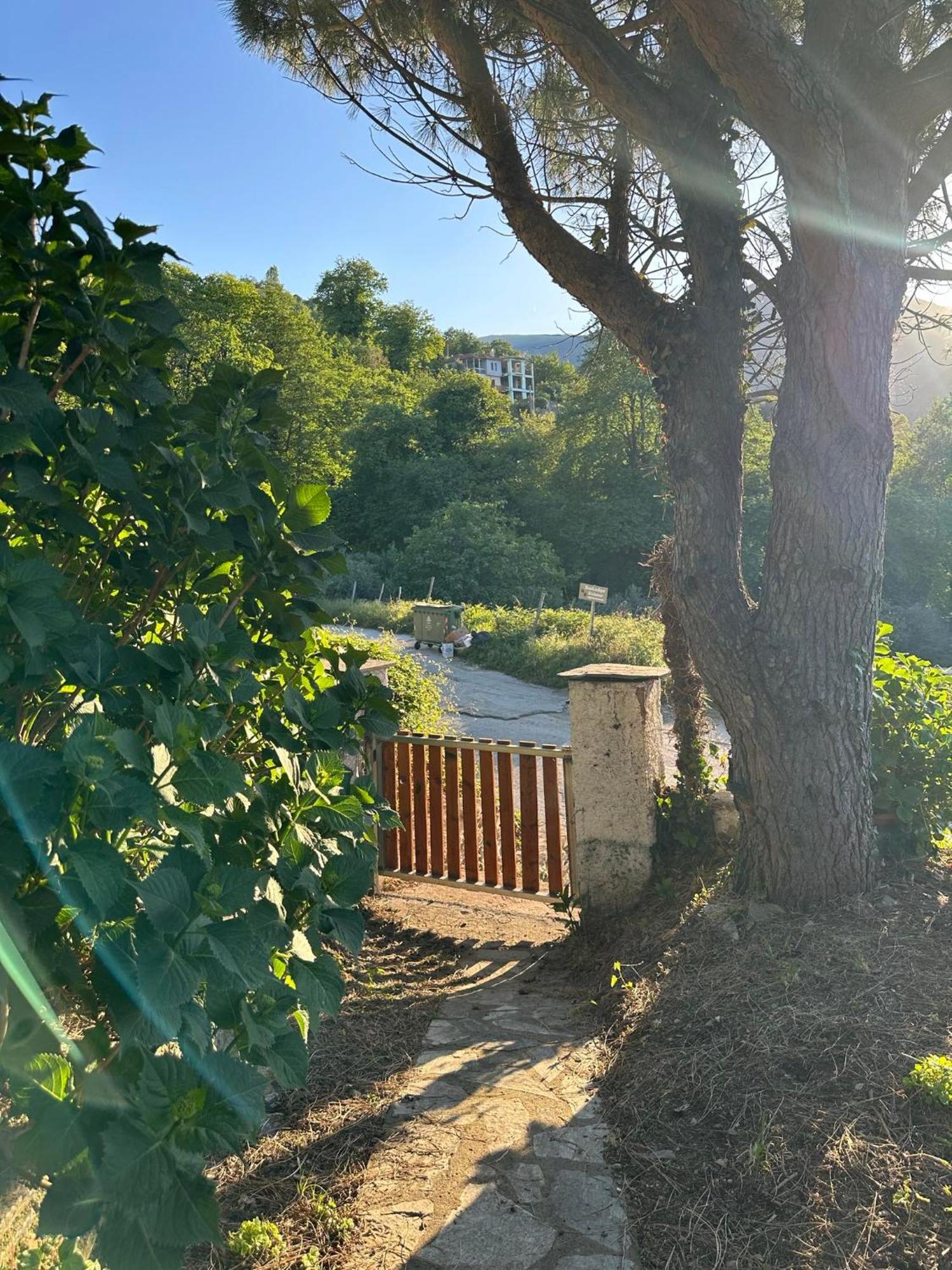 So Simple Guest House,mouresi Mouresi